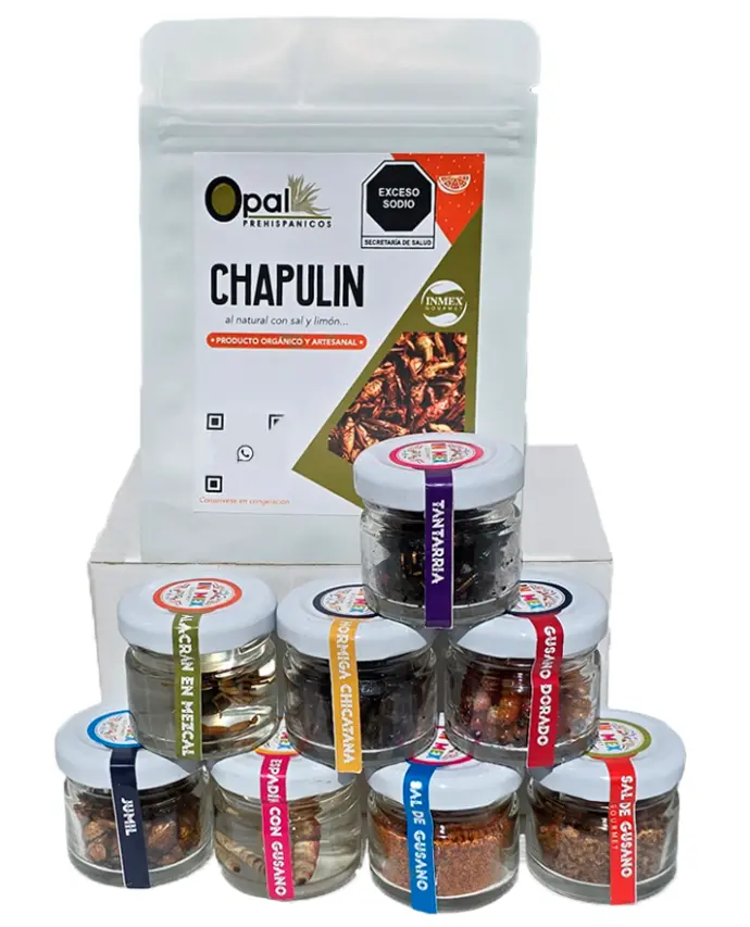Kit de Insectos Comestibles