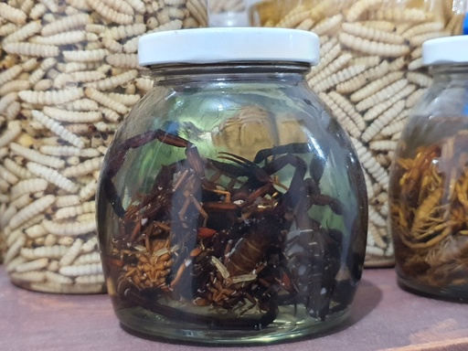 Frasco Alacrán Jumbo 200 ml