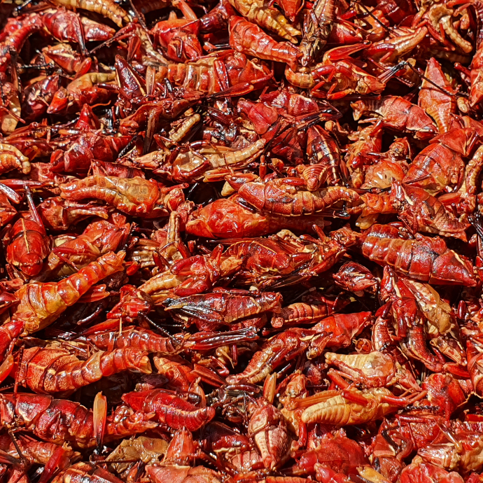 Chapulín Grande 1 Kg