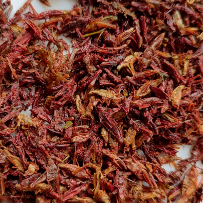 Chapulín Mediano 1 Kg