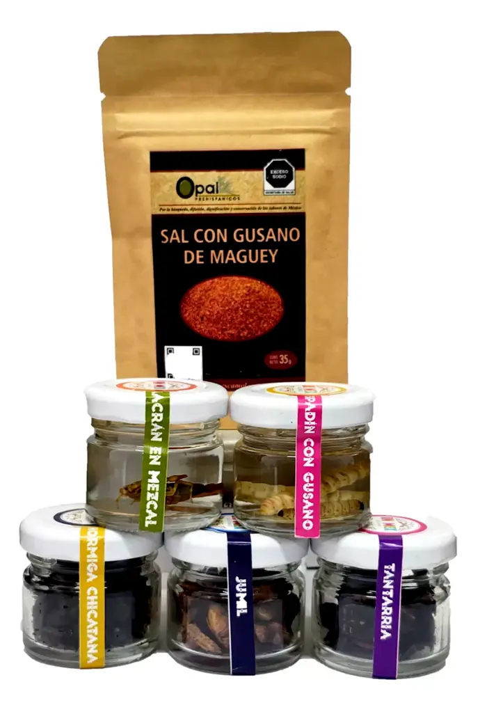 Kit de Insectos Comestibles 6 pz.