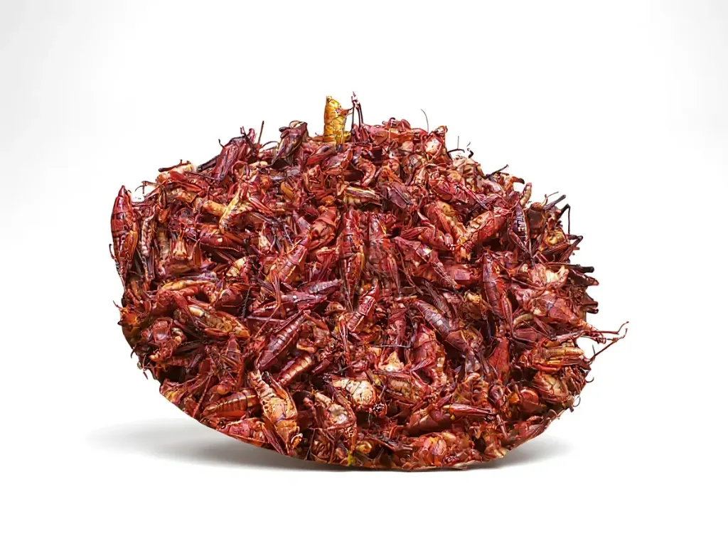 Chapulín Grande 1 Kg