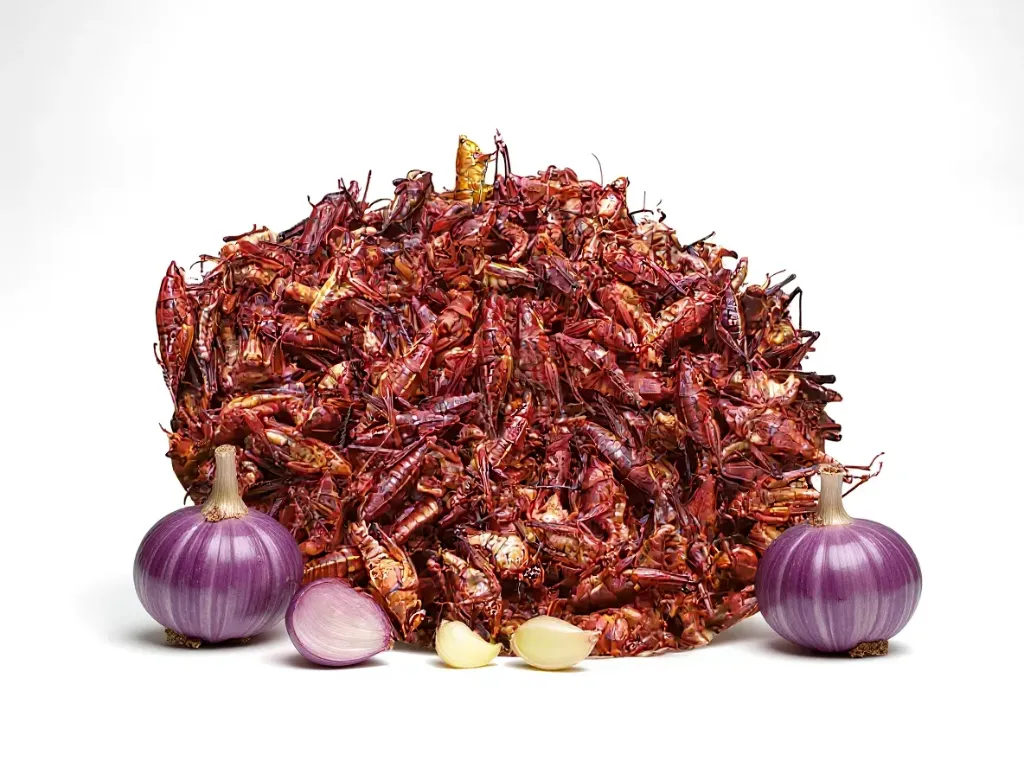 Chapulín Mediano con Ajo 1 kg