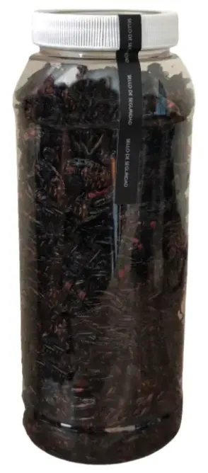 Tantarría Asada/ Kg (Thasus-Gigas)/Cocopaches/Xamues.