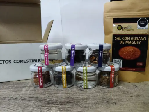 Kit de Insectos Comestibles 7X1 oz + 100 g.